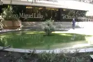 El Instituto Miguel Lillo albergará unas jornadas de paleontología