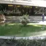 El Instituto Miguel Lillo albergará unas jornadas de paleontología