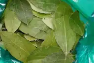 Alerta en Salta por la hoja de coca: fuerte aumento y riesgo de faltantes por bloqueos en Bolivia