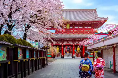 Boom de viajes a Japón: el país asiático registra un récord histórico de turistas argentinos