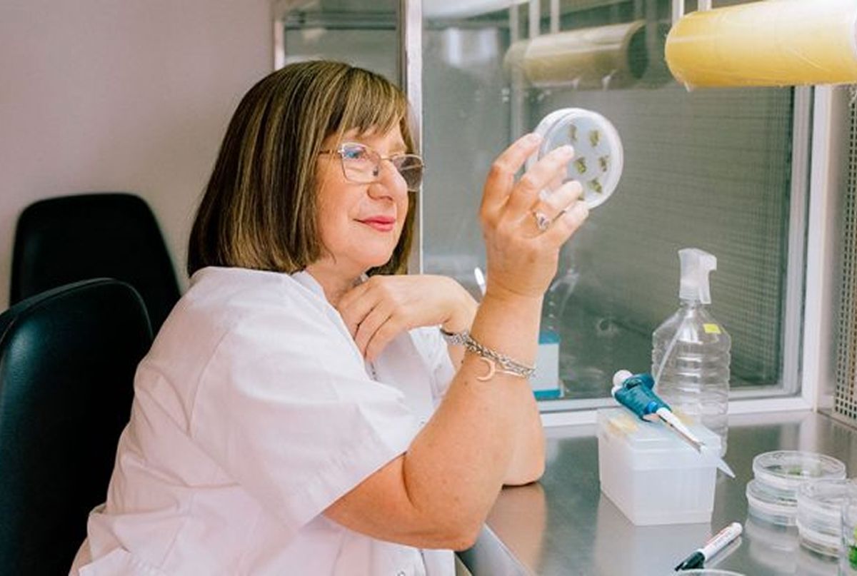 CULTIVOS MÁS RESISTENTES. La científica santafesina fue premiada por sus descubrimientos sobre genes capaces de ayudar a las plantas a enfrentar condiciones ambientales extremas. / CONICET