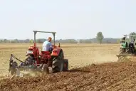 Cuánto cobra de sueldo un trabajador rural en mayo de 2026