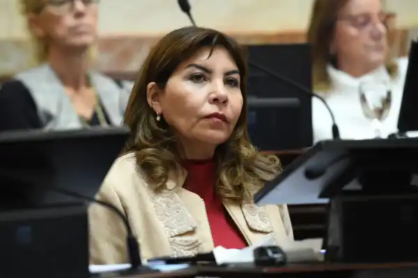 Cantó el himno, habló, se dio la vuelta y se fue”, Sandra Mendoza, sobre Milei en Tucumán