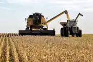 Milei anunció rebajas de retenciones para sectores del agro y la industria