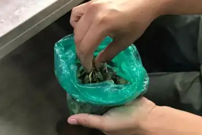 La crisis en Bolivia impacta en Salta y Jujuy: falta hoja de coca y aumentan los precios