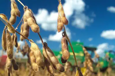 Peor es nada: la respuesta de Apronor ante el anuncio de la baja de retenciones para el agro