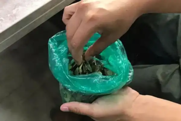 La crisis en Bolivia impacta en Salta y Jujuy: falta hoja de coca y aumentan los precios