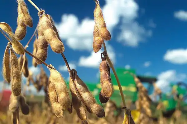 Peor es nada: la respuesta de Apronor ante el anuncio de la baja de retenciones para el agro
