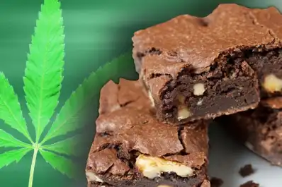 Escándalo en Córdoba: seis estudiantes hospitalizados por consumir brownies con cannabis