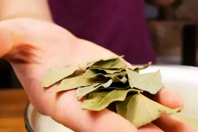 El truco viral con hojas de laurel en los pies que promete aliviar dolores mientras dormís