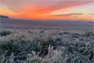 Ola polar en Argentina: qué pasará con el frío y cuál es el pronóstico para la última semana de mayo