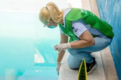 El Plan Integral Antimosquitos llegará a nuevos barrios entre el 26 y 29 de mayo