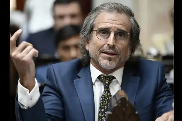 Un diputado libertario acusó al arzobispo de Buenos Aires de “militar con sotana el regreso del peronismo” tras el Tedeum del 25 de Mayo