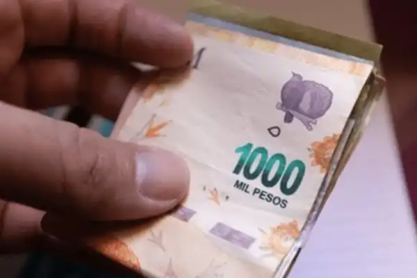 Cuándo se cobra el voucher educativo 2026: así podés verificar el pago en Anses