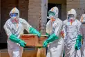 Alerta mundial por el ébola: la OMS advirtió que el brote avanza más rápido de lo esperado