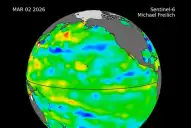 La NASA detectó una inusual ola de calor en el océano Pacífico y alertó por sus posibles consecuencias