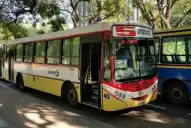 Pasajes gratuitos para personas con discapacidad: qué cambió y cómo gestionar el beneficio
