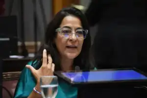 Ley de Biocombustibles: Carolina Moisés pidió avanzar hacia un corte del 30% y defendió el desarrollo del NOA