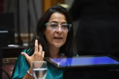 Ley de Biocombustibles: Carolina Moisés pidió avanzar hacia un corte del 30% y defendió el desarrollo del NOA