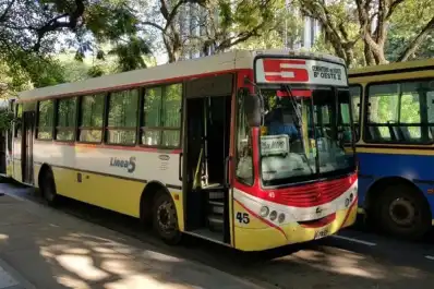 Pasajes gratuitos para personas con discapacidad: qué cambió y cómo gestionar el beneficio