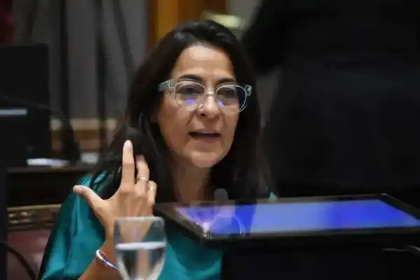 Ley de Biocombustibles: Carolina Moisés pidió avanzar hacia un corte del 30% y defendió el desarrollo del NOA