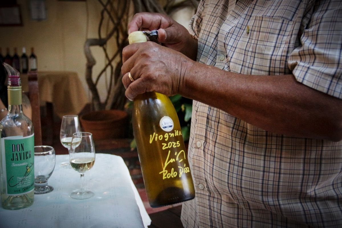 UNA JOYA. La bodega hizo el primer vino de la cepa Viognier de Tucumán. LA GACETA/FOTO DE AGUSTINA GARROCHO