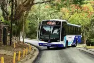 Crisis en el transporte: desde el lunes Salta suspende el servicio nocturno de colectivos