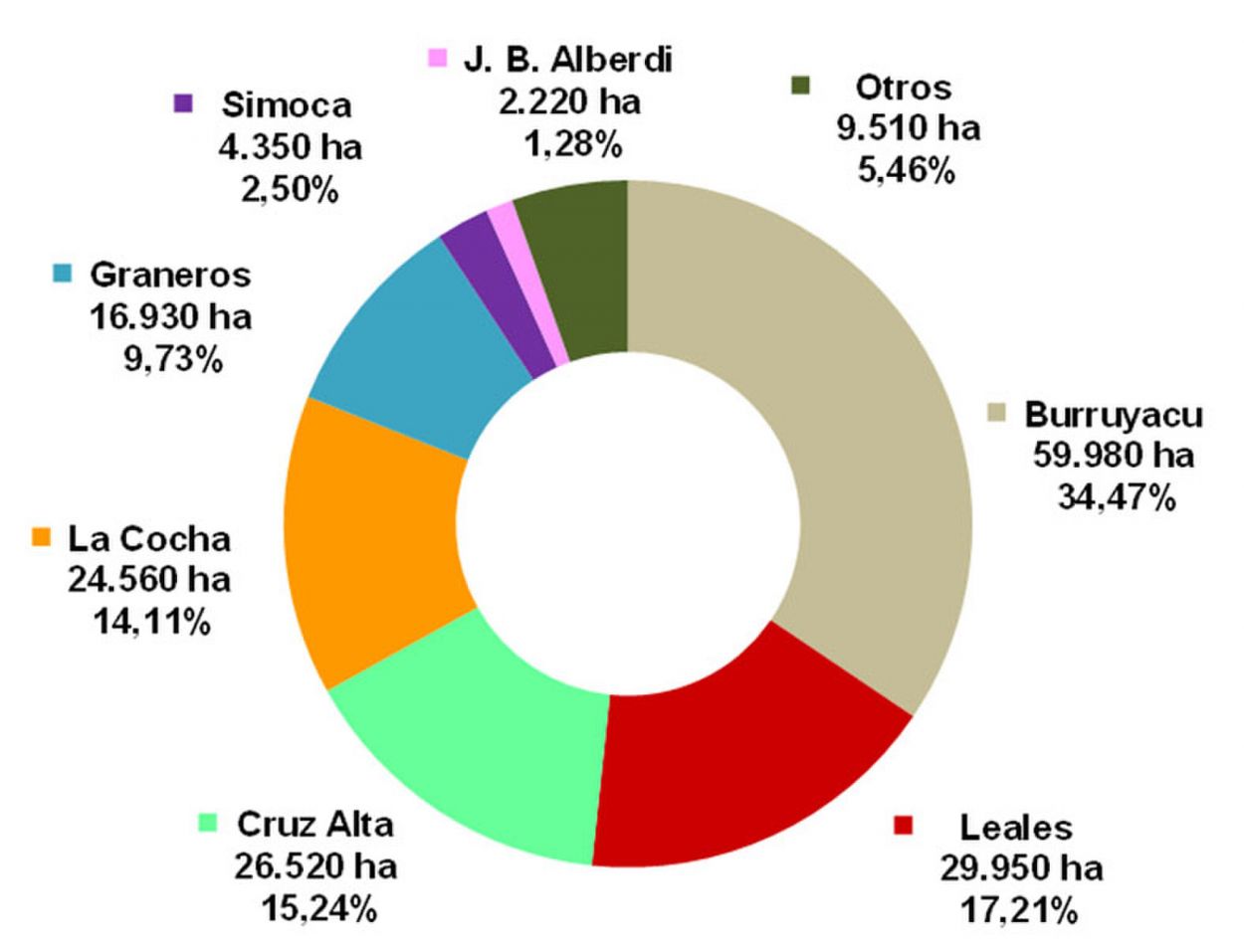 El área sembrada con soja en Tucumán en el ciclo 2025/2026 se estimó en 174.020 hectáreas