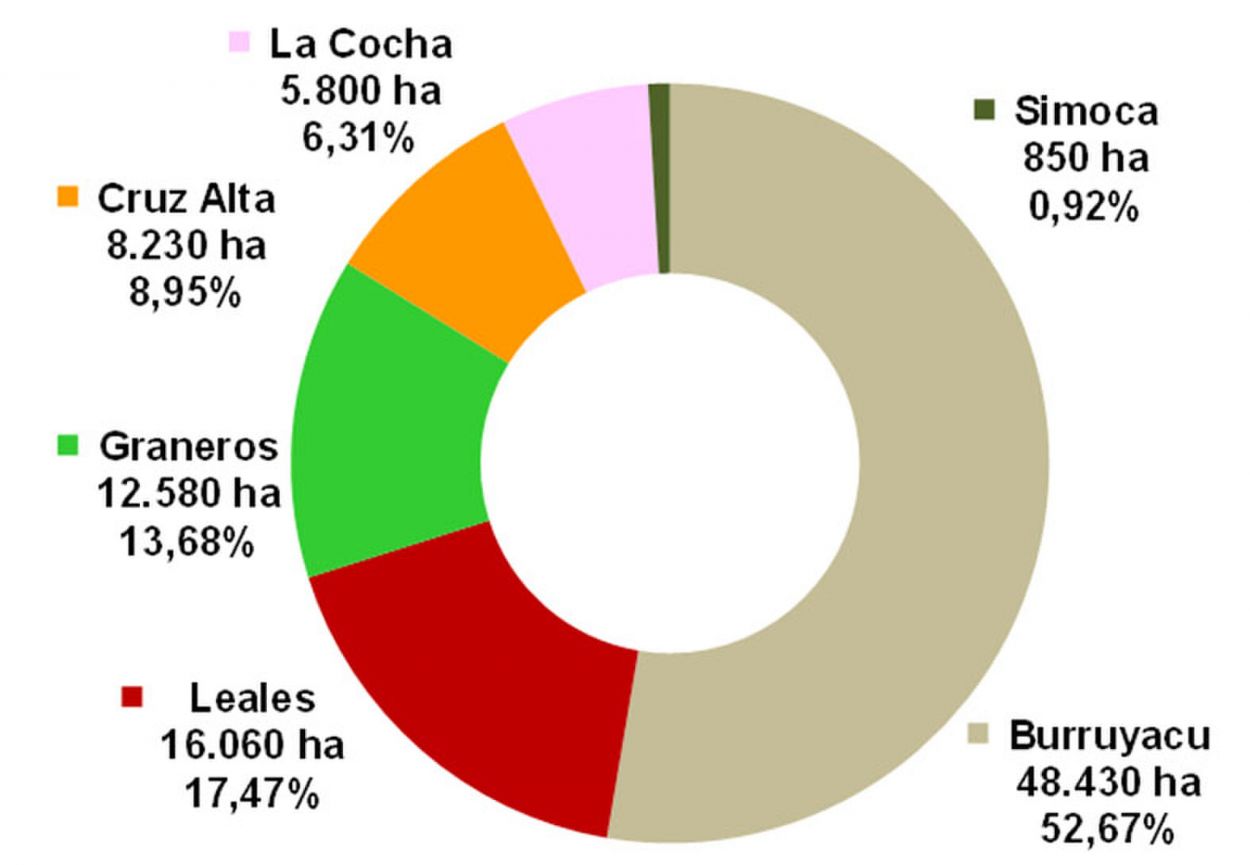 El área sembrada con soja en Tucumán en el ciclo 2025/2026 se estimó en 174.020 hectáreas