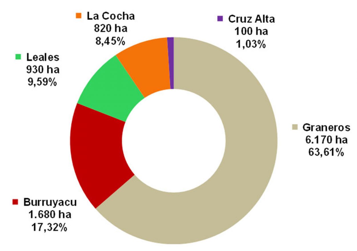 El área sembrada con soja en Tucumán en el ciclo 2025/2026 se estimó en 174.020 hectáreas