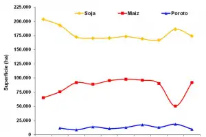Evolución de la superficie en Tucumán con soja, maíz y poroto en la última década