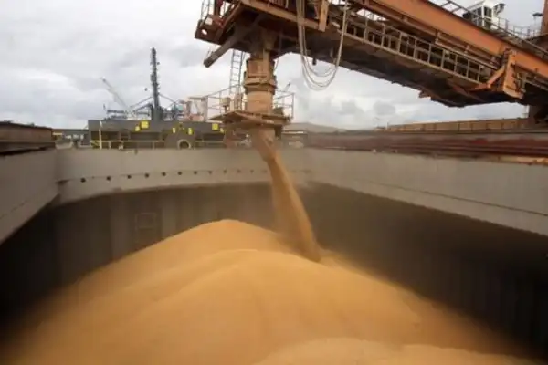 Exportaciones agroindustriales alcanzaron un volumen récord