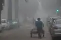 Alerta por niebla intensa y lluvias persistentes: cuáles son las provincias afectadas este domingo