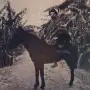 Recuerdos fotográficos: 1909. Blasco Ibáñez, autor de Sangre y arena, visita Tucumán