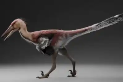 Garras letales y agilidad felina: las claves del Kank australis, el nuevo dinosaurio patagónico