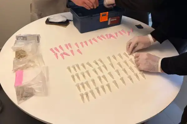 Drogas sintéticas en Tucumán: una investigación que tiene pistas por analizar