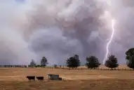 Preocupación por el regreso de El Niño: qué efectos podría provocar en Argentina