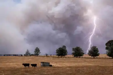 Preocupación por el regreso de El Niño: qué efectos podría provocar en Argentina