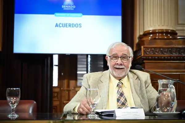 El Senado sesionará mañana, pero demora el tratamiento del pliego de Michelli cuestionado por Milei