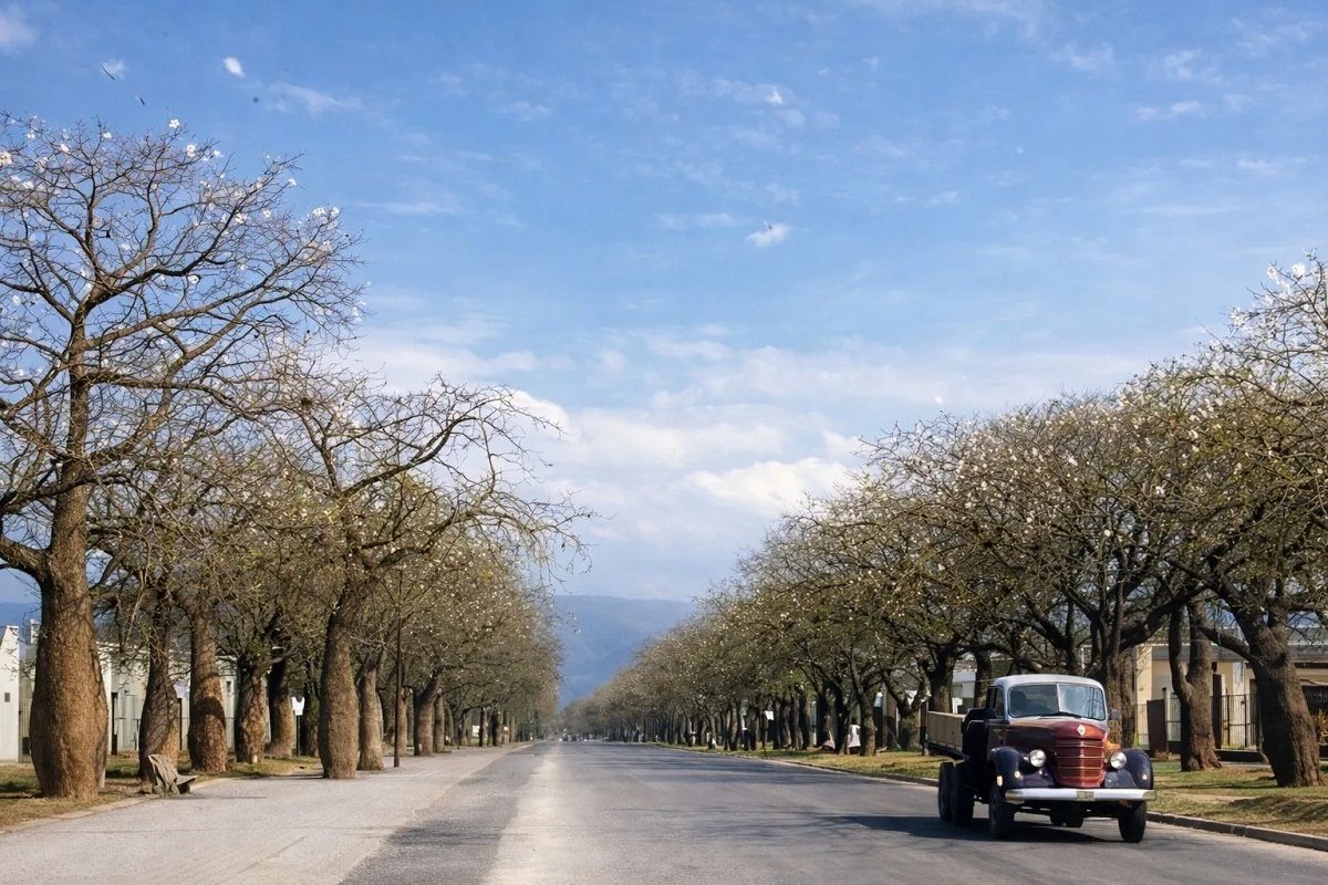 Avenida Mate de Luna, en 1948