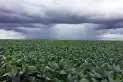 La importancia de proteger el ambiente