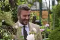 La rosa de David Beckham: el regalo que revela su pasión por el jardín