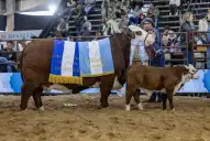 Exposición nacional La cabaña San Vicente logró siete campeonas en Corrientes