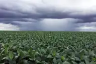 La importancia de proteger el ambiente