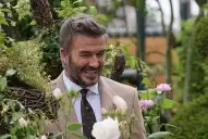 La rosa de David Beckham: el regalo que revela su pasión por el jardín