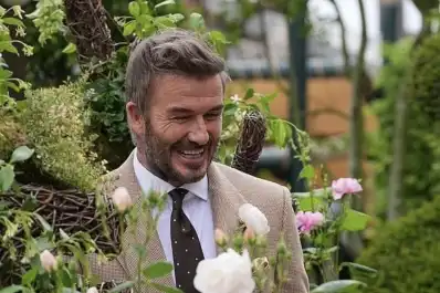 La rosa de David Beckham: el regalo que revela su pasión por el jardín