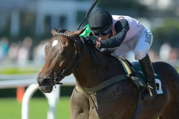 Turf: El especial Día del Periodista convoca a caballos de primer nivel