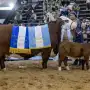 Exposición nacional  La cabaña San Vicente logró siete campeonas en Corrientes