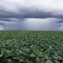 La importancia de proteger el ambiente