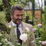 La rosa de David Beckham: el regalo que revela su pasión por el jardín